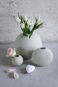 Small Ball Vase Shell
