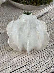 Petal Gourd 4